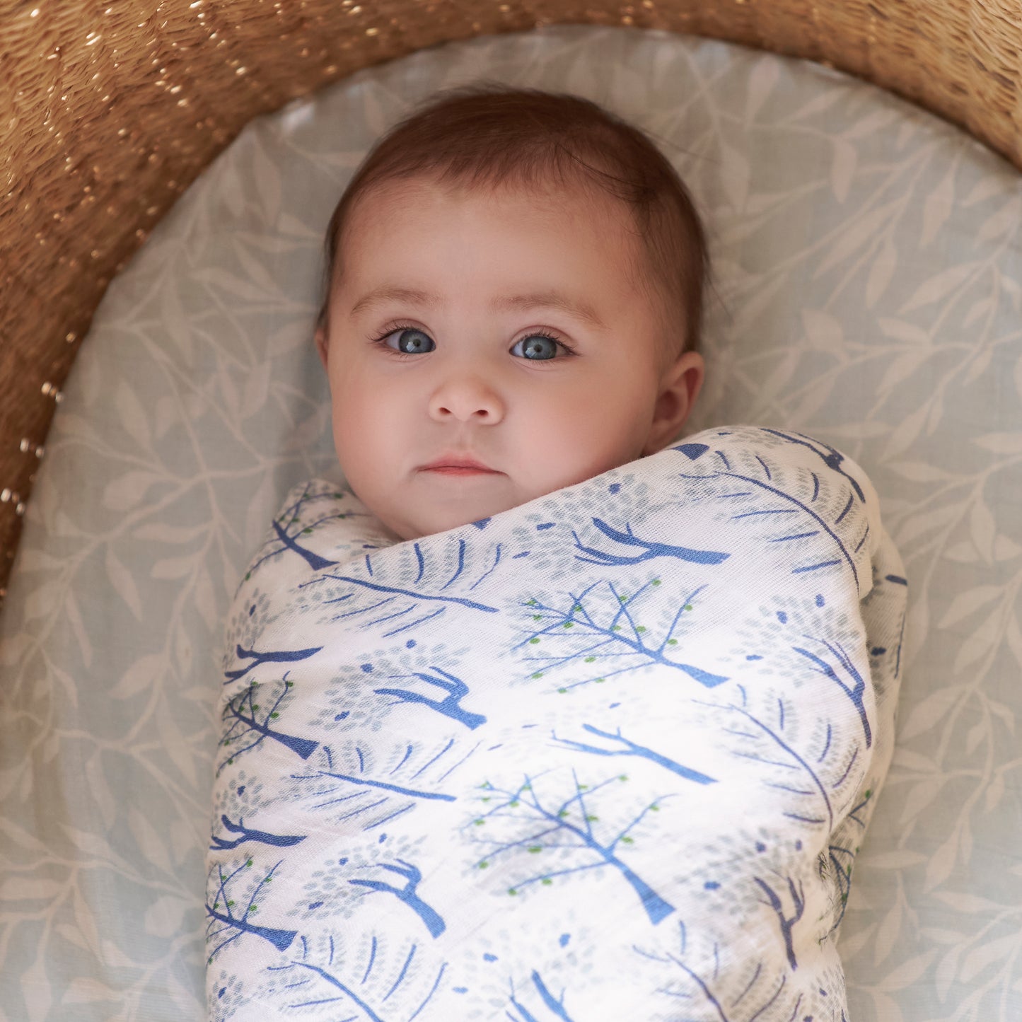 aden + anais™ Organic muslin vystyklai (4 vnt.)