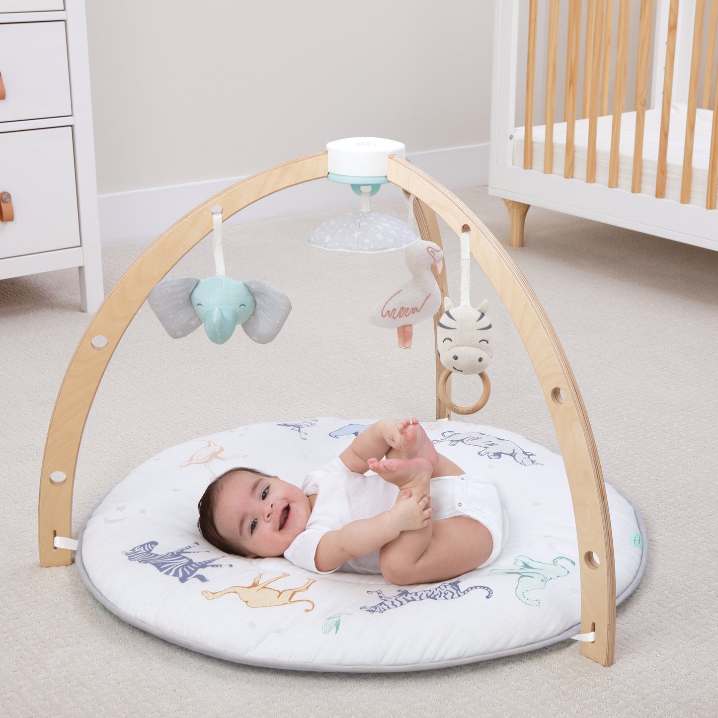 aden + anais activity mat for babies