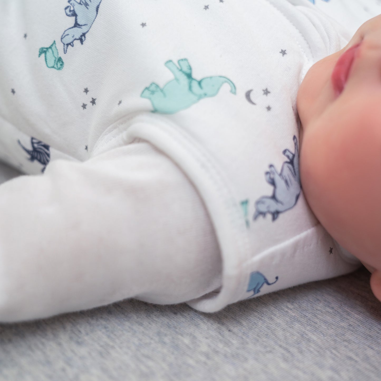 aden+anais™ 2.5 TOG žieminis miegmaišis - Tiny Humans