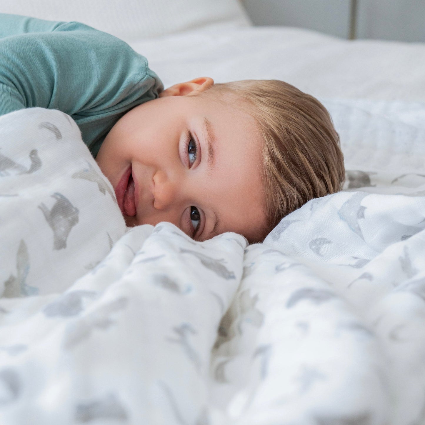 aden+anais™ dream blanket™ Organic antklodė - Tiny Humans