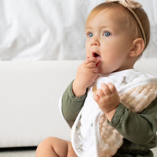 aden + anais™ Organic burpy bib seilinukas (2 vnt.) - Tiny Humans