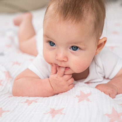 aden + anais™ essentials cotton muslin vystyklai (4 vnt.) - Tiny Humans