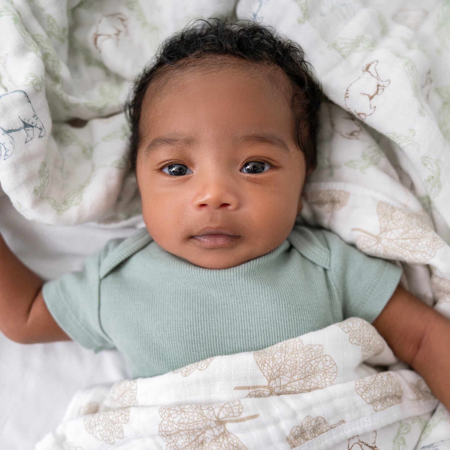 aden + anais™ essentials muslin antklodė - Tiny Humans