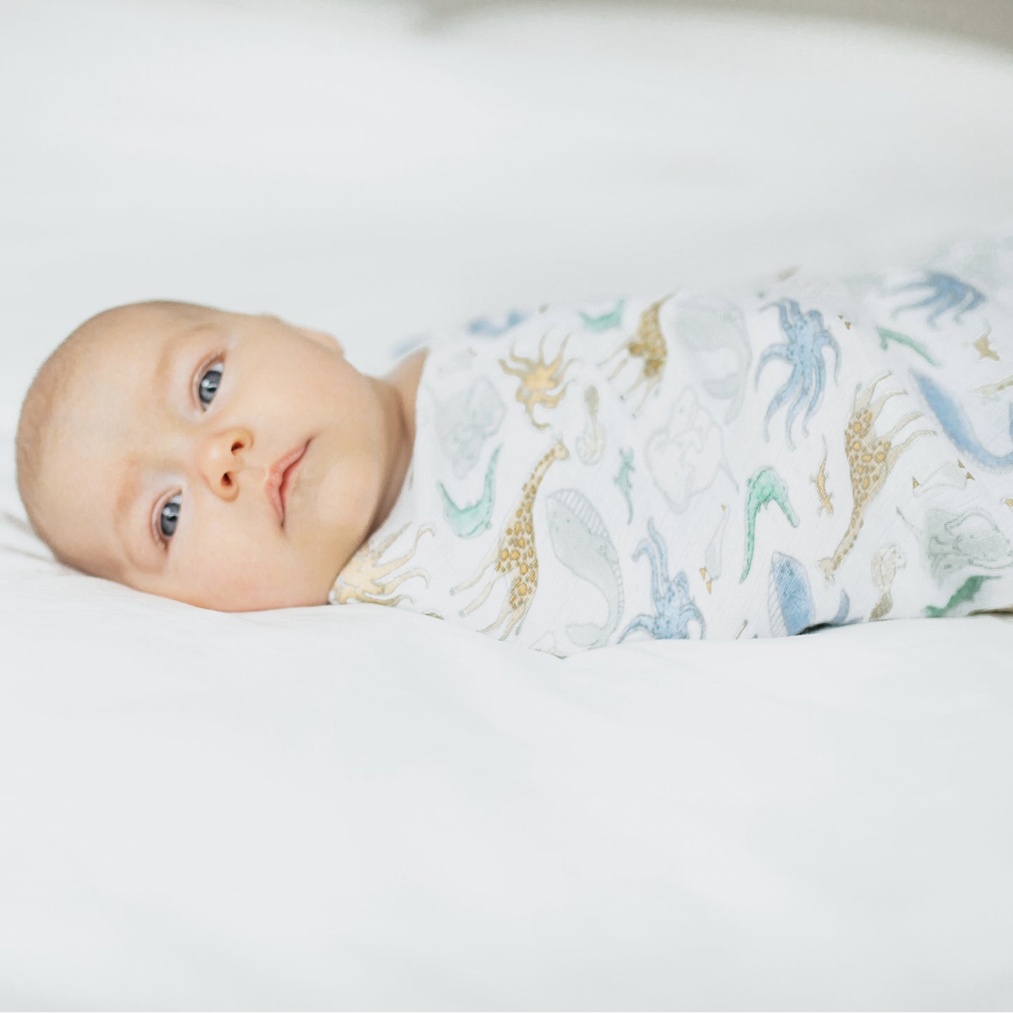 aden + anais™ essentials muslino vystyklas - Tiny Humans