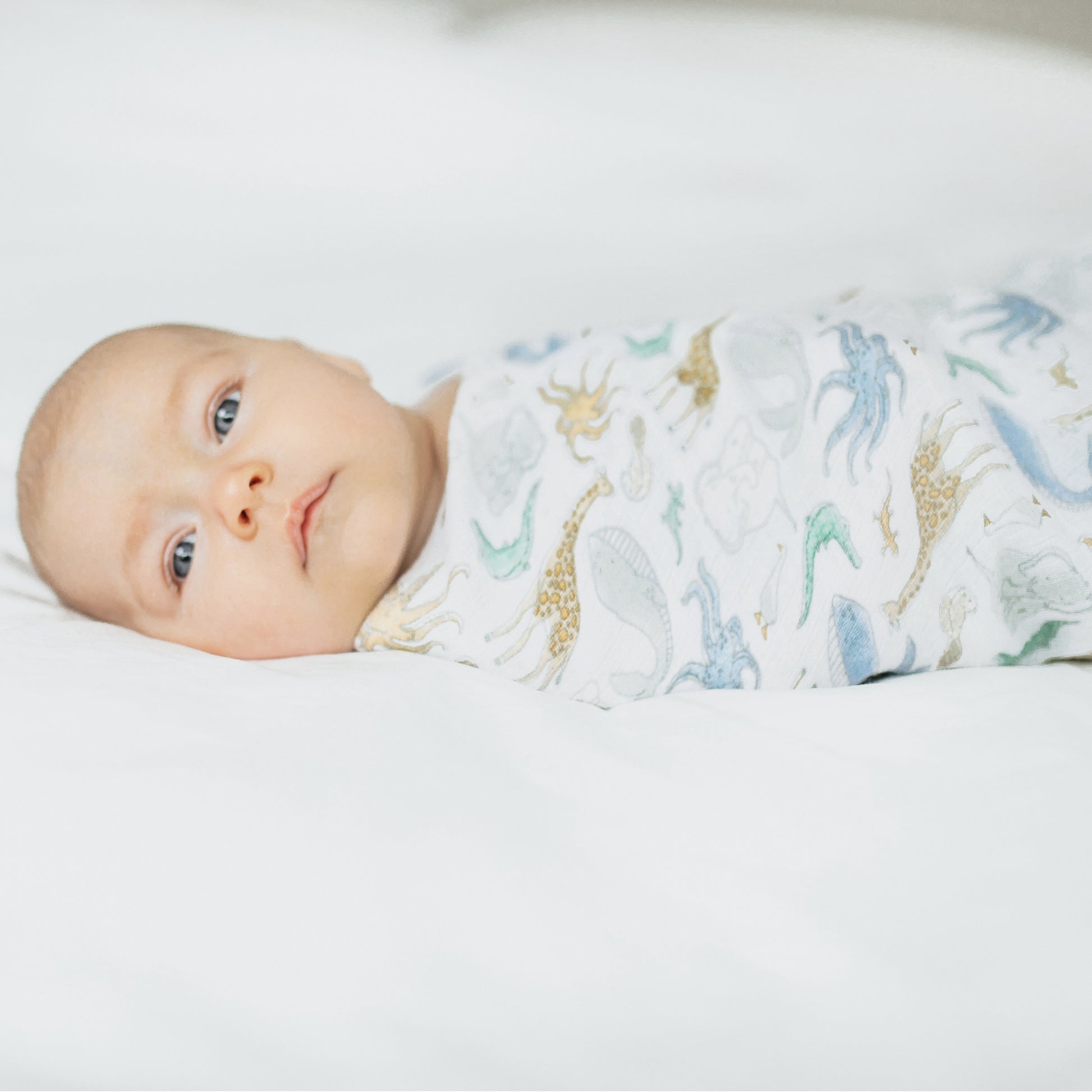 aden + anais™ essentials muslino vystyklas - Tiny Humans