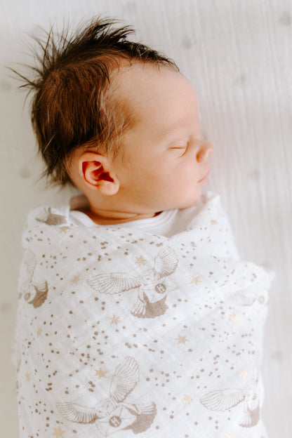 aden + anais™ Boutique muslin vystyklai (4 vnt.) - Tiny Humans