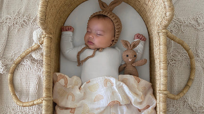 aden + anais™ Boutique muslin vystyklai (2 vnt.) - Tiny Humans