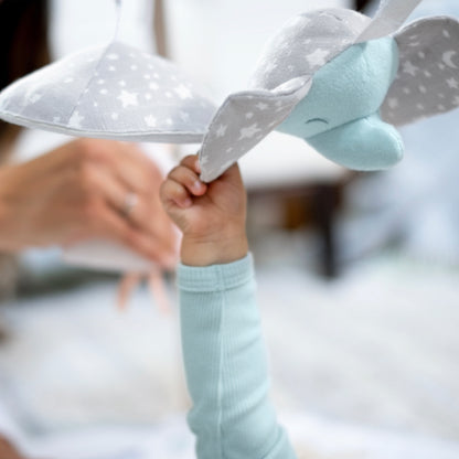 aden + anais™ veiklos kilimėlis kūdikiams - Tiny Humans